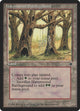 Havenwood Battleground (Fallen Empires)