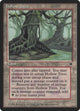 Hollow Trees (Fallen Empires)