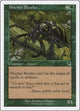 Pincher Beetles (Battle Royale Box Set)