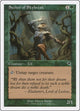 Seeker of Skybreak (Battle Royale Box Set)