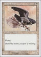 Royal Falcon (Starter 2000)