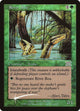 [Foil] River Boa (249) (FNM Promos)