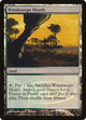 [Foil] Windswept Heath (9) (Judge Promos)