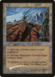 [Foil] Wasteland (Magic Player Rewards)