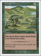 Summer Bloom (144) (Starter 1999)
