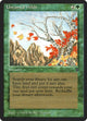 Untamed Wilds (Legends)