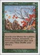 Untamed Wilds (148) (Starter 1999)