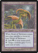 Heart of Yavimaya (Alliances)