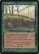 Undergrowth (88) (Alliances)