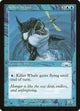 Killer Whale (37) (Exodus)