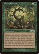 Oath of Druids (115) (Exodus)