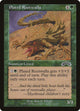 Plated Rootwalla (116) (Exodus)