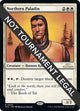 Northern Paladin (29) (30th Anniversary Edition)