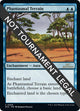 Phantasmal Terrain (68) (30th Anniversary Edition)
