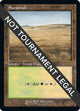 Savannah (Retro Frame) (573) (30th Anniversary Edition)