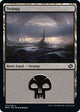 [Foil] Swamp (BRO #272)
