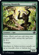 Hooting Mandrills (671) (Jumpstart 2022)