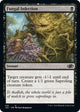 Fungal Infection (416) (Jumpstart 2022)