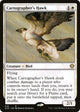 Cartographer's Hawk (10) (Starter Commander Decks)