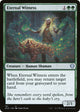 Eternal Witness (181) (Starter Commander Decks)