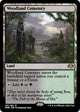 [Foil] Woodland Cemetery (261) (Dominaria Remastered)