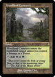 [Foil] Woodland Cemetery (Retro Frame) (401) (Dominaria Remastered)