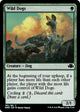 Wild Dogs (183) (Dominaria Remastered)