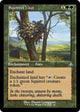 [Foil] Squirrel Nest (Retro Frame) (349) (Dominaria Remastered)