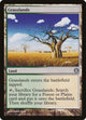 Grasslands (35) (Knights vs. Dragons)