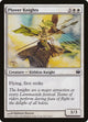 Plover Knights (20) (Knights vs. Dragons)