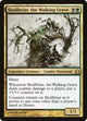 Skullbriar, the Walking Grave (227) (Commander)