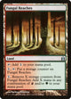 Fungal Reaches (274) (Commander)