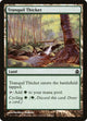 Tranquil Thicket (292) (Commander)