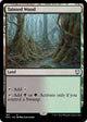 Tainted Wood (168) (Phyrexia: All Will Be One)