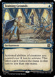 [Foil] Training Grounds (Halo Foil) (193) (March of the Machine: The Aftermath)