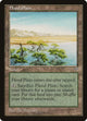Flood Plain (Mirage)