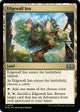[Foil] Edgewall Inn (255) (Wilds of Eldraine)