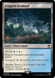 [Foil] Irrigated Farmland (Surge Foil) (879) (Universes Beyond: Doctor Who)
