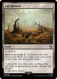 [Foil] Ash Barrens (Surge Foil) (848) (Universes Beyond: Doctor Who)