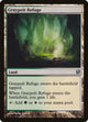 Graypelt Refuge (33) (Ajani vs. Nicol Bolas)