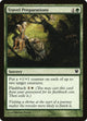 [Foil] Travel Preparations (206) (Innistrad)