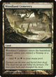 [Foil] Woodland Cemetery (249) (Innistrad)