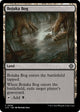 Bojuka Bog (320) (The Lost Caverns of Ixalan)