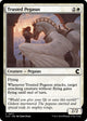 Trusted Pegasus (77) (Ravnica: Clue Edition)