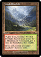 Wooded Foothills (Retro Frame) (441) (Modern Horizons 3)