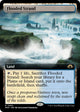 Flooded Strand (Extended Art) (464) (Modern Horizons 3)