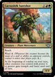 [Foil] Cactusfolk Sureshot (199) (Outlaws of Thunder Junction)