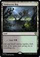 Viridescent Bog (340) (Outlaws of Thunder Junction)