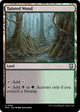 Tainted Wood (383) (Modern Horizons 3)