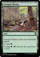 [Foil] Tranquil Thicket (Ripple Foil) (398) (Modern Horizons 3)